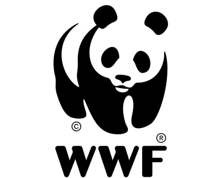 Chargé (e) du Genre et Inclusion sociale, WWF