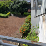 Belle maison spacieuse et polyvalente à Goma