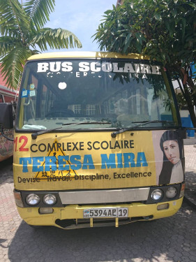 Minibus Accoster (2)