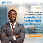 Conseiller CLA (Collaboration, apprentissage et adaptation)