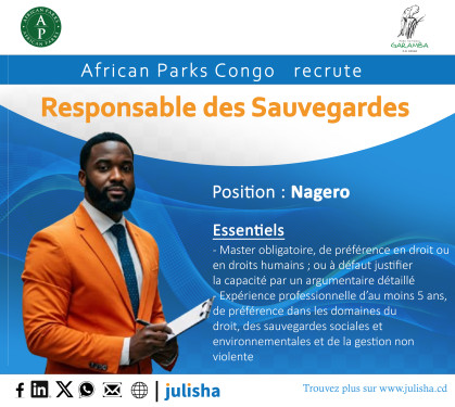 Responsable des Sauvegardes