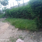 Villa mis en vente