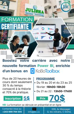 Formation en Power BI et Bonus de KoBoToolbox  