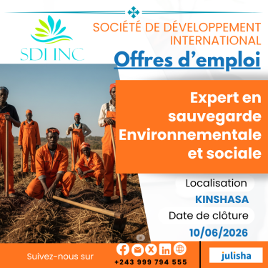 Expert en sauvegarde Environnementale et sociale